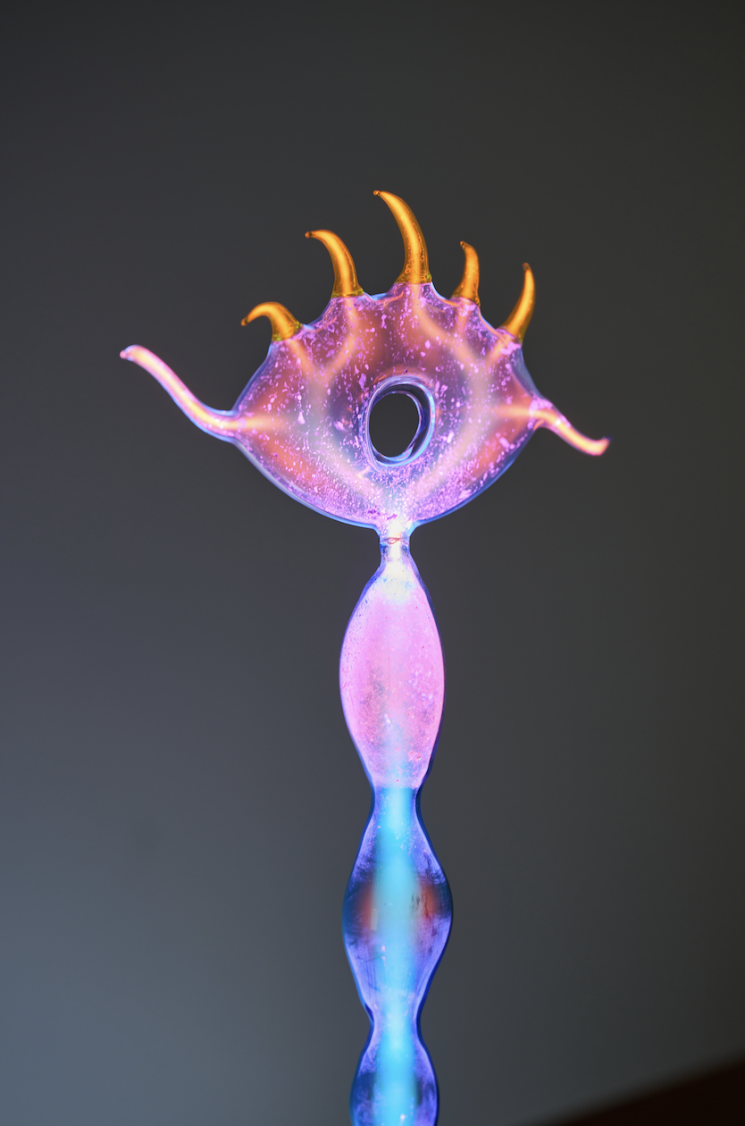 IMG_5938.PNG