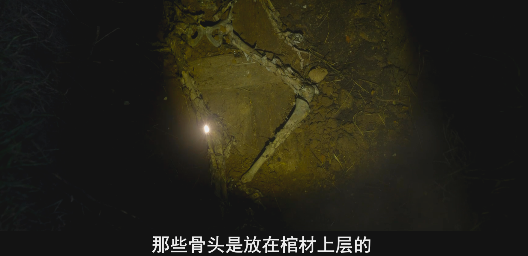 IMG_6111.PNG