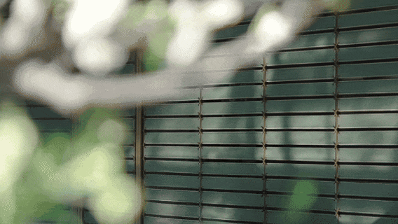 28.gif