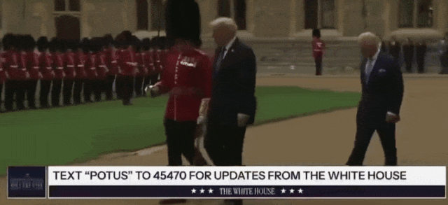 55.gif