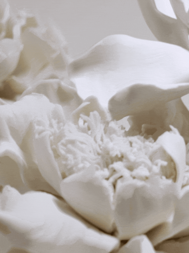 IMG_9157.GIF