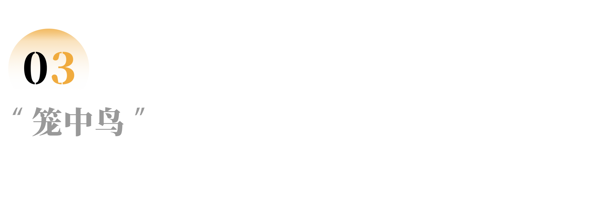 IMG_0722.PNG