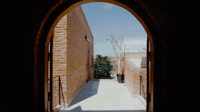IMG_2198.GIF