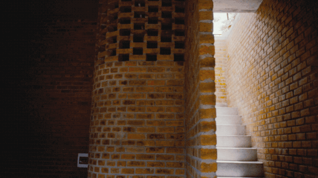 IMG_2208.GIF
