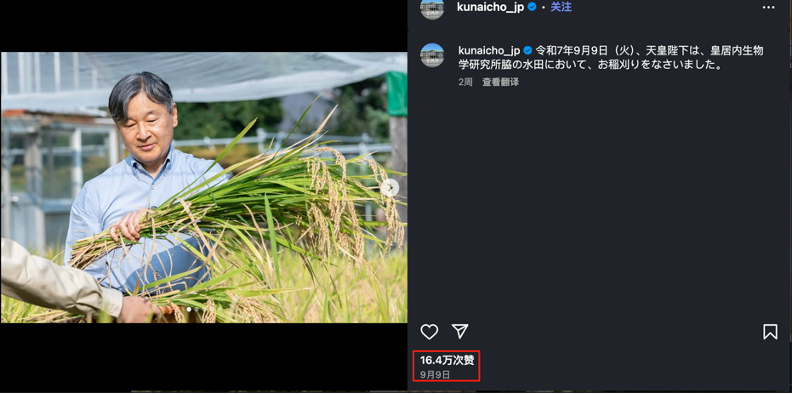 IMG_2726.PNG