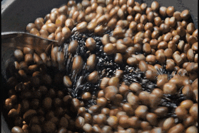 4.gif