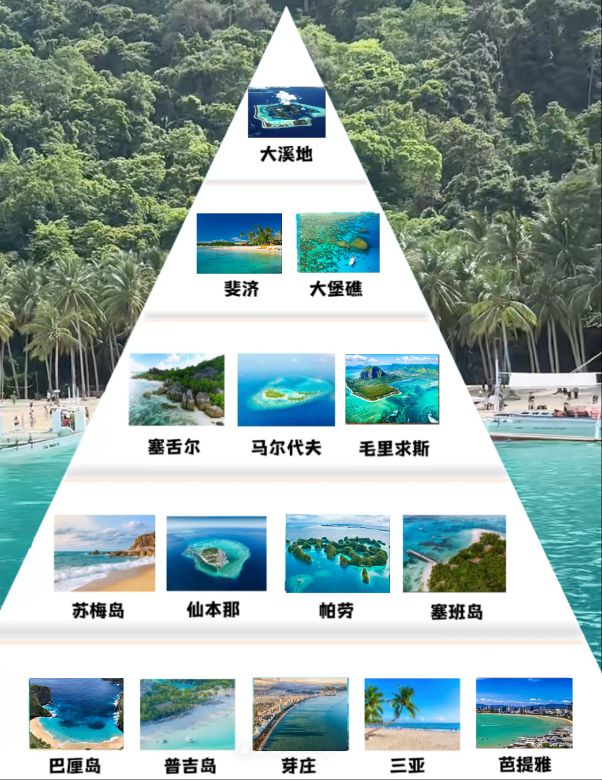 IMG_4592.PNG
