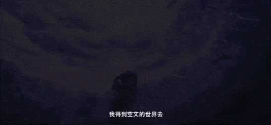 IMG_5345.GIF