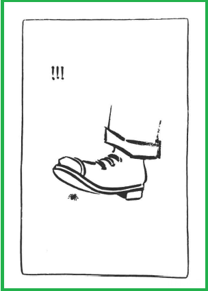 IMG_5184.PNG