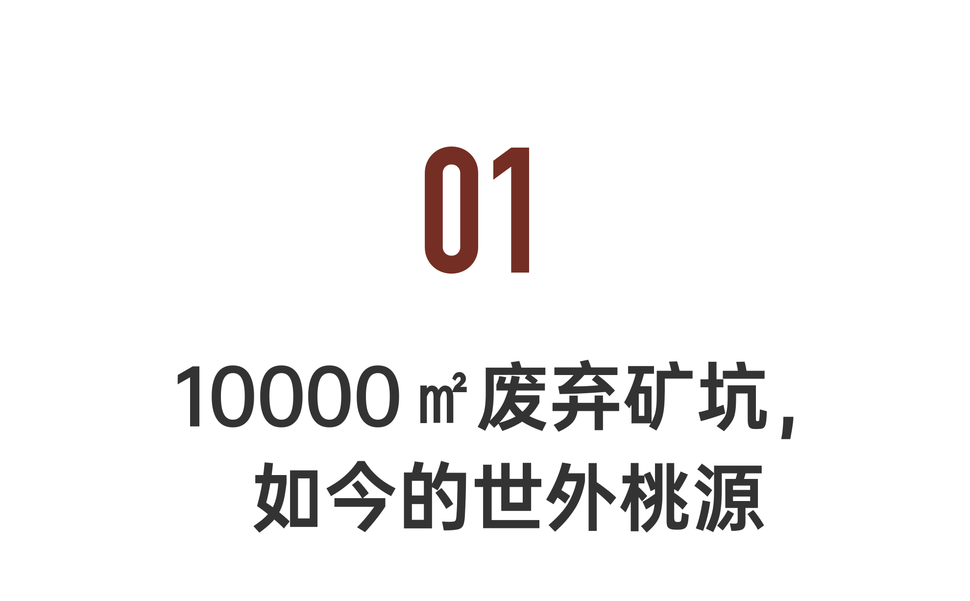 IMG_5666.PNG