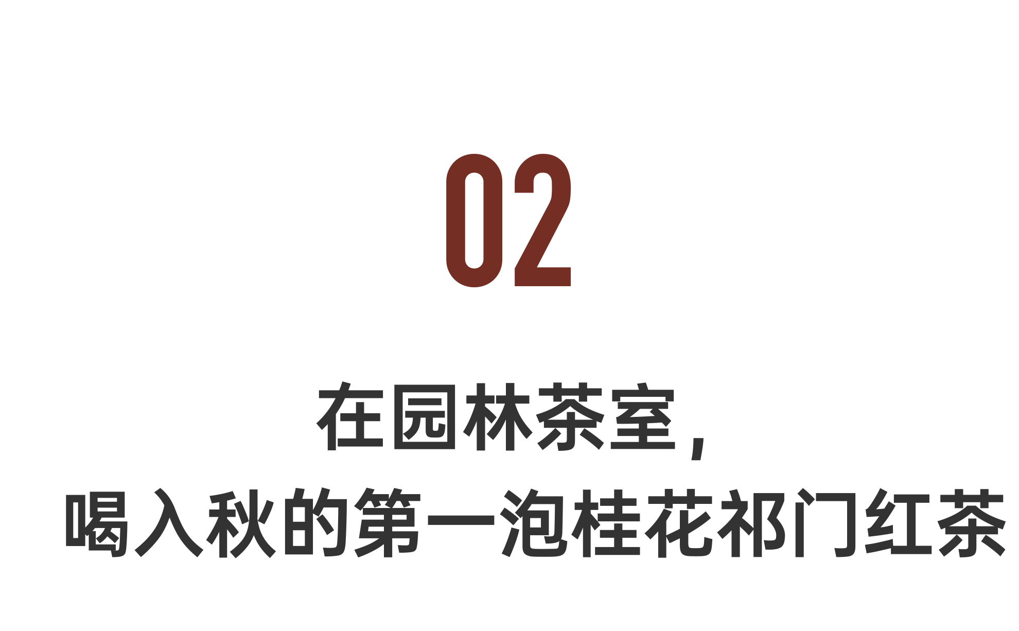 IMG_5677.PNG