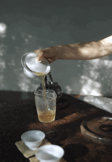 IMG_5684.GIF