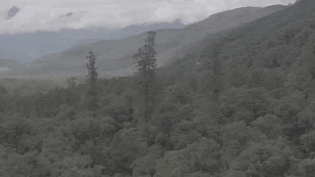 IMG_6053.GIF