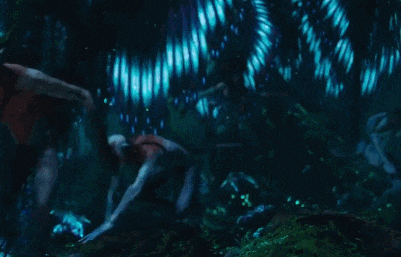 IMG_1447.GIF