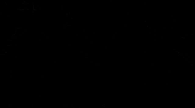 IMG_8978.GIF