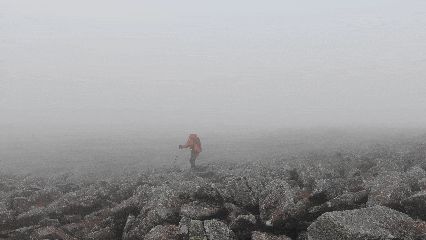 a1.jpg