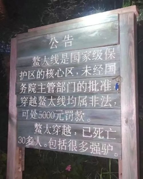 a1.jpg