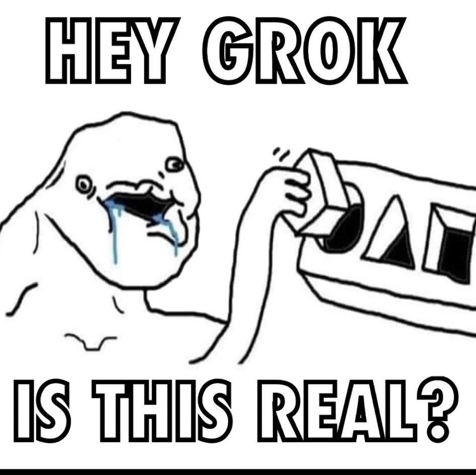 a3.jpg