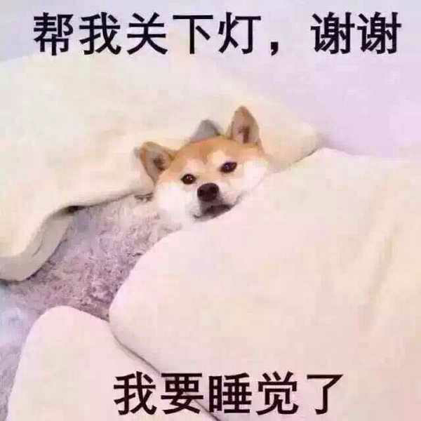 IMG_8184.PNG