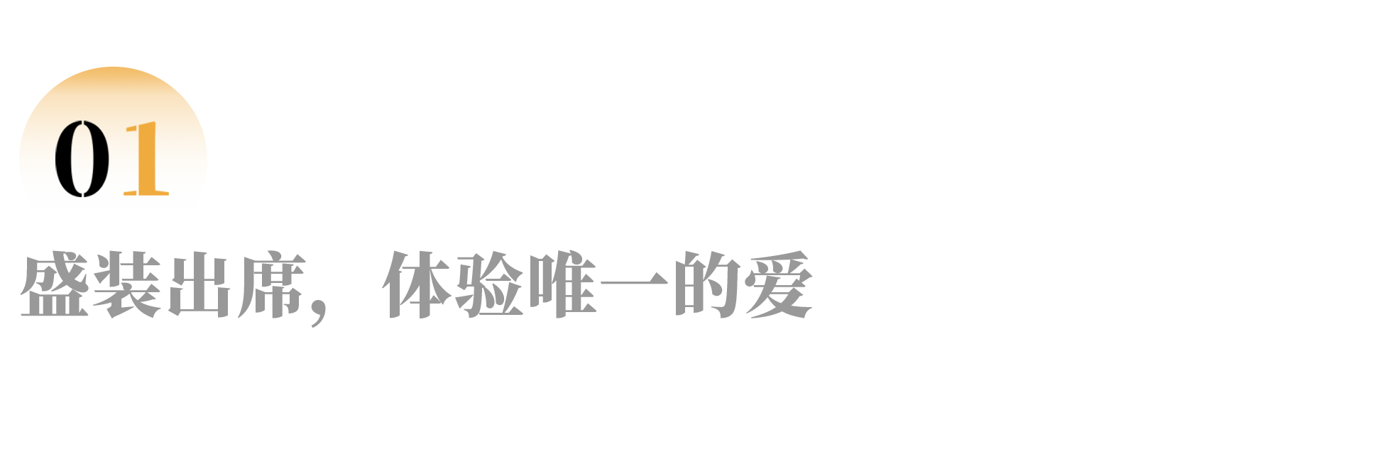 IMG_3756.PNG