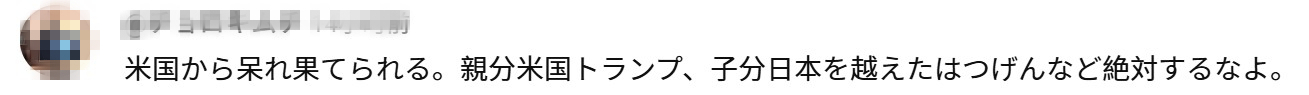 a6.jpg
