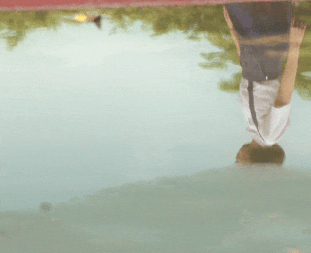 IMG_9009.GIF