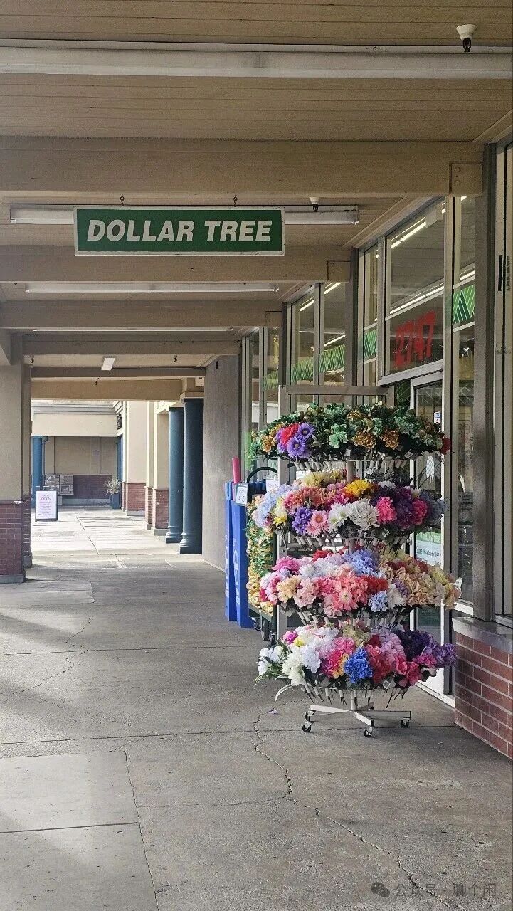 12.jpeg