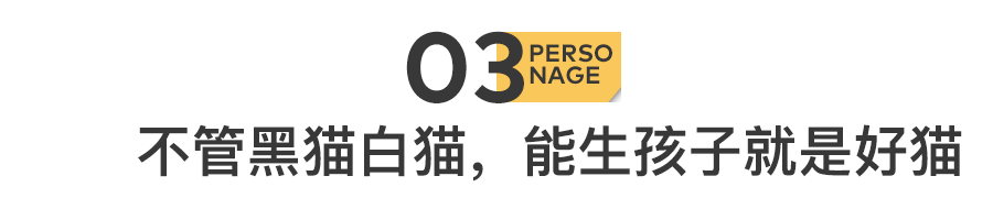 11.png