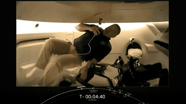 IMG_8450.GIF