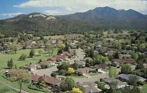 2c.jpg