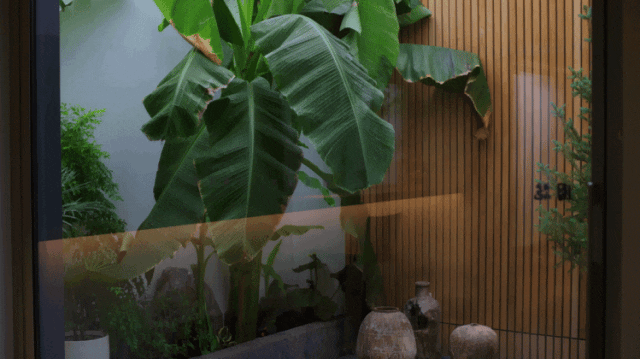 IMG_1889.GIF