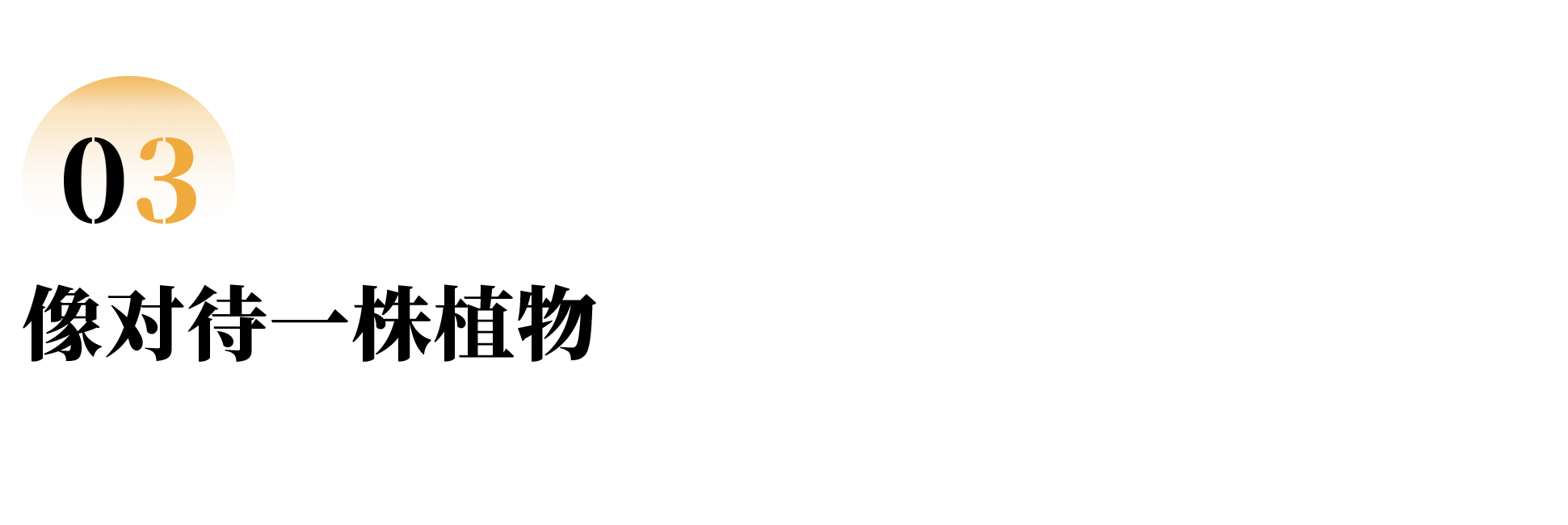 9.png