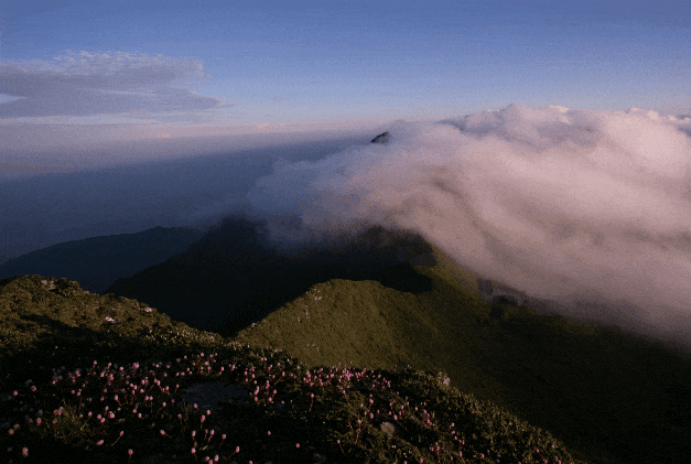 IMG_2982.GIF