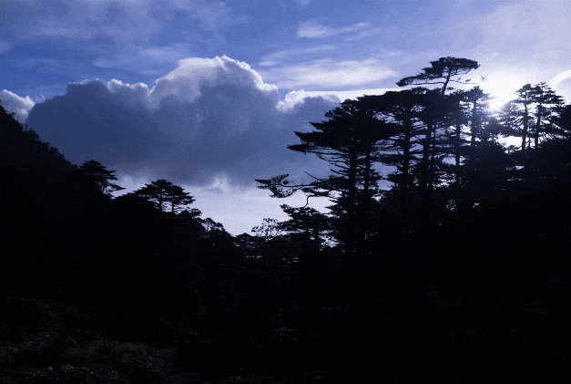 IMG_2998.GIF