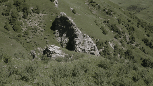 IMG_3014-ezgif.com-optimize.gif