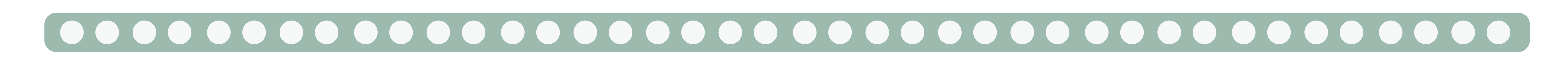 IMG_3055.PNG