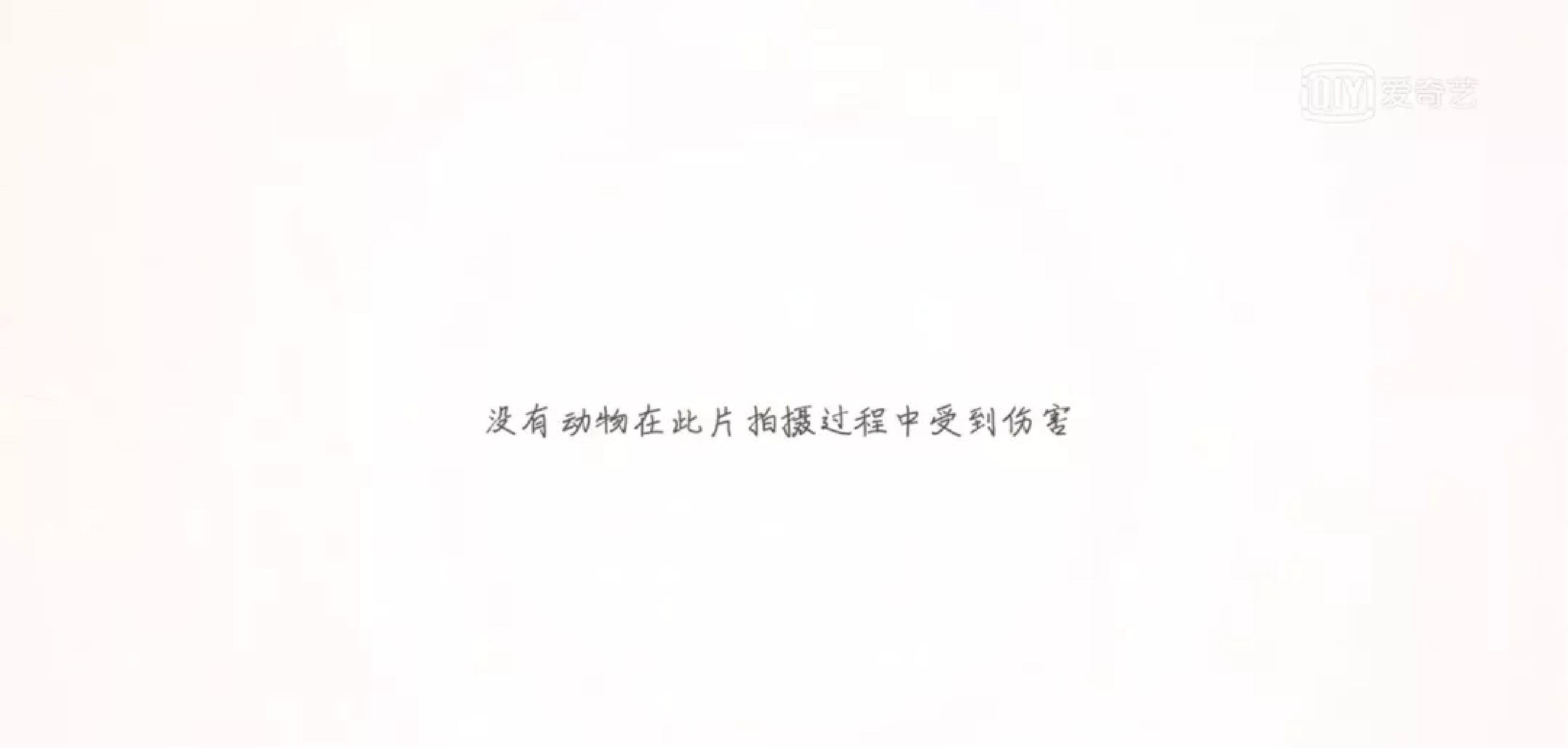 IMG_3453.PNG