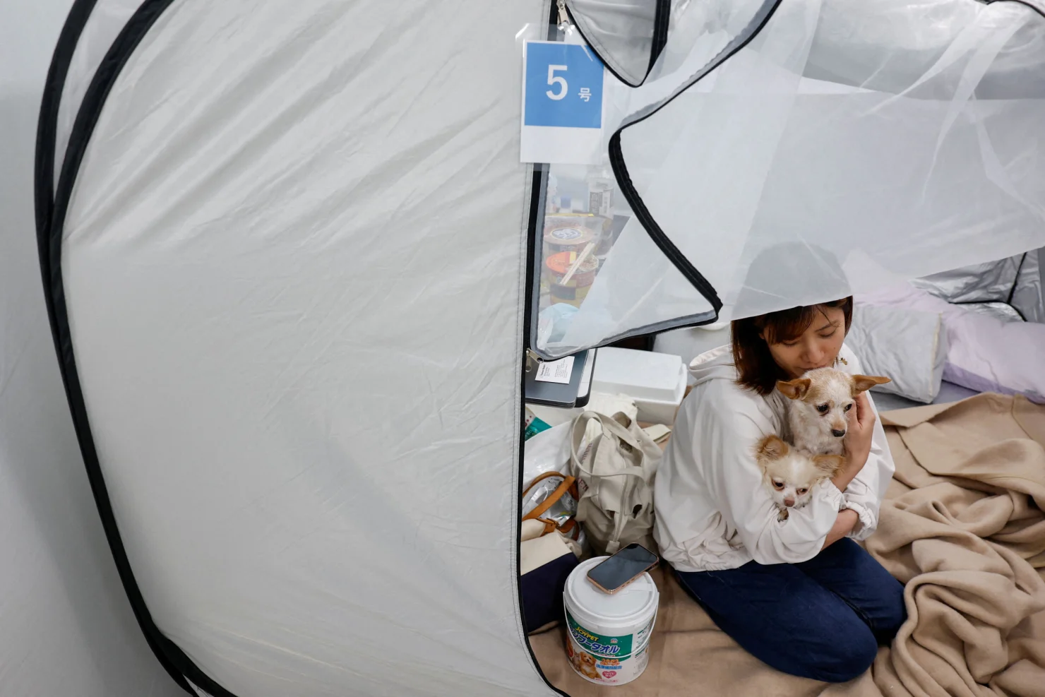 09-09-11-2026-07-31t071407z-1415067876-rc2qoma3r1g8-rtrmadp-3-japan-quake-pets.jpg