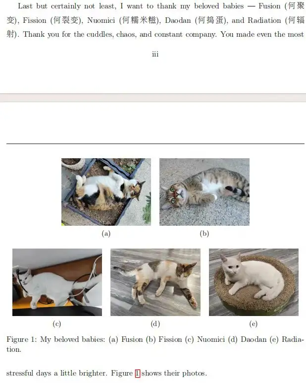10.png