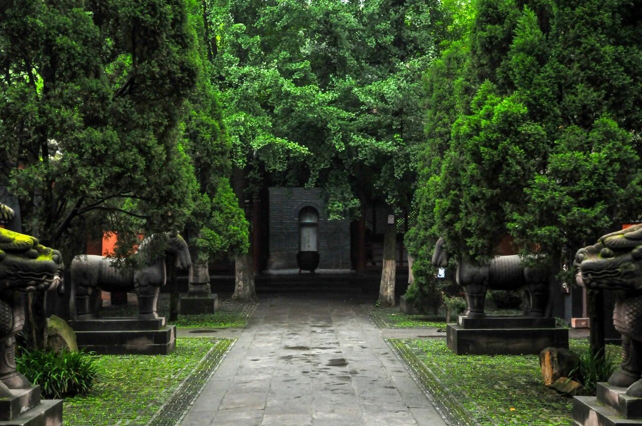 5b.jpg
