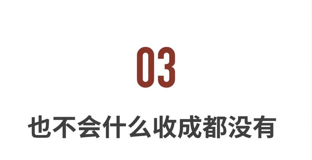 5-compressed.jpg