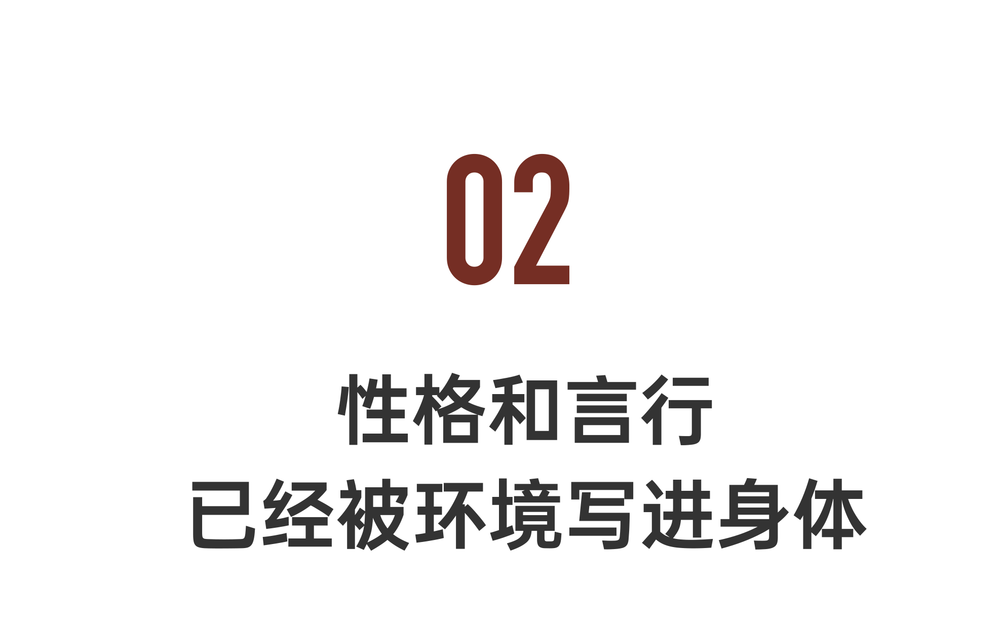 IMG_3962.PNG