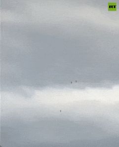 a2.jpg