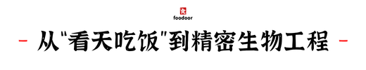 IMG_3990.PNG