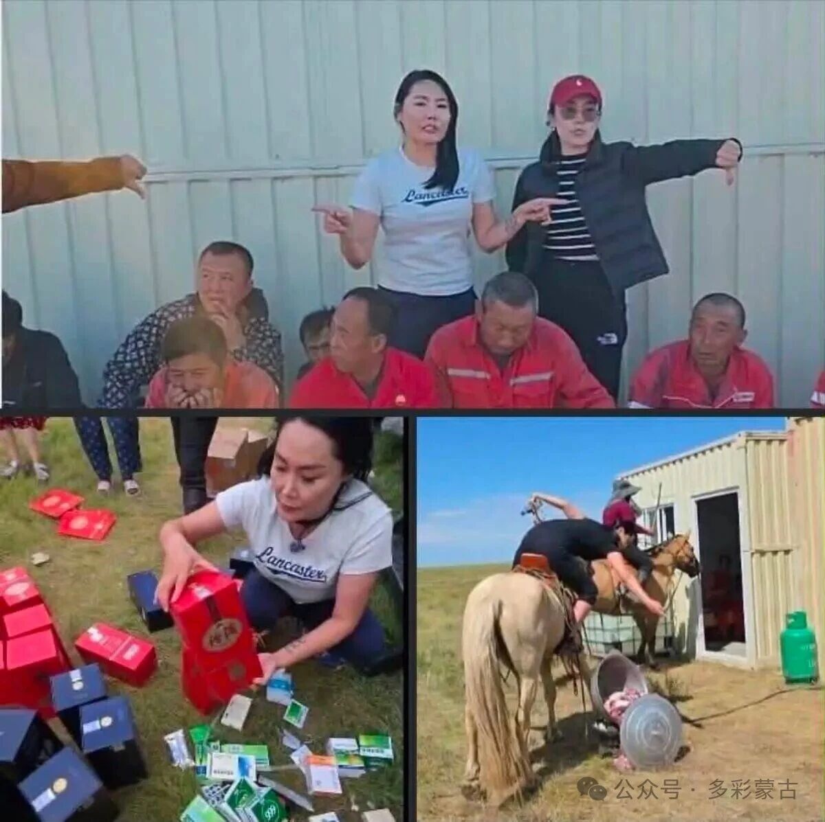 a1.jpg