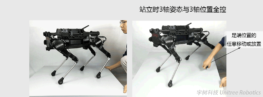 11.gif