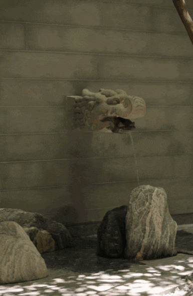 IMG_4919.GIF