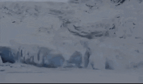 18a.gif