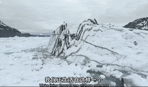 3-ezgif.com-optimize.gif