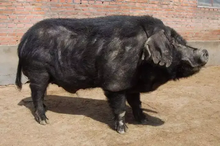 16.jpg